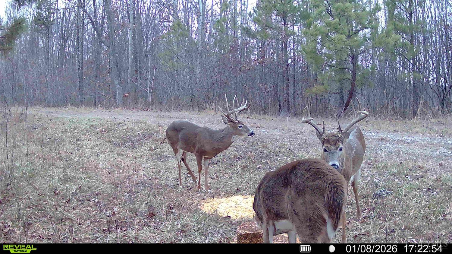 St Rt 348, Brushcreek Twp, OH, 45657 — photo 12