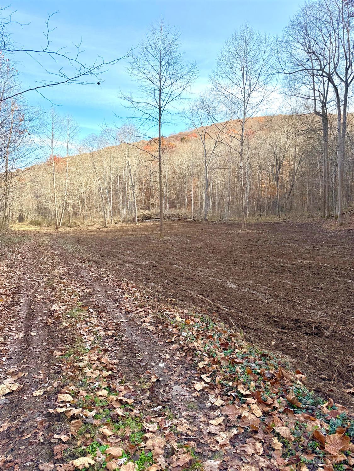 S Side Chenoweth Fork Road, Sunfish Twp, OH, 45660 — photo 22