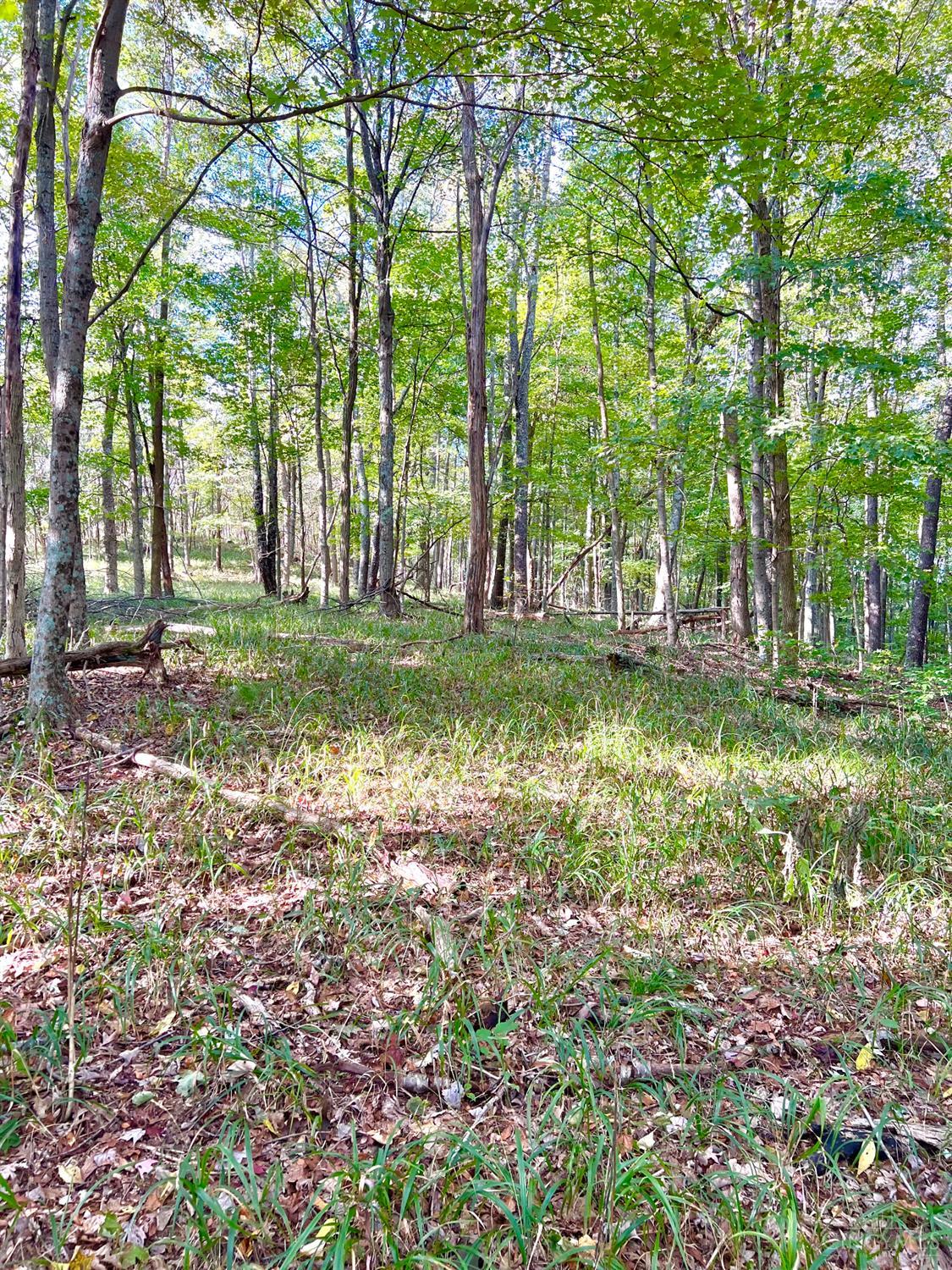 S Side Chenoweth Fork Road, Sunfish Twp, OH, 45660 — photo 30