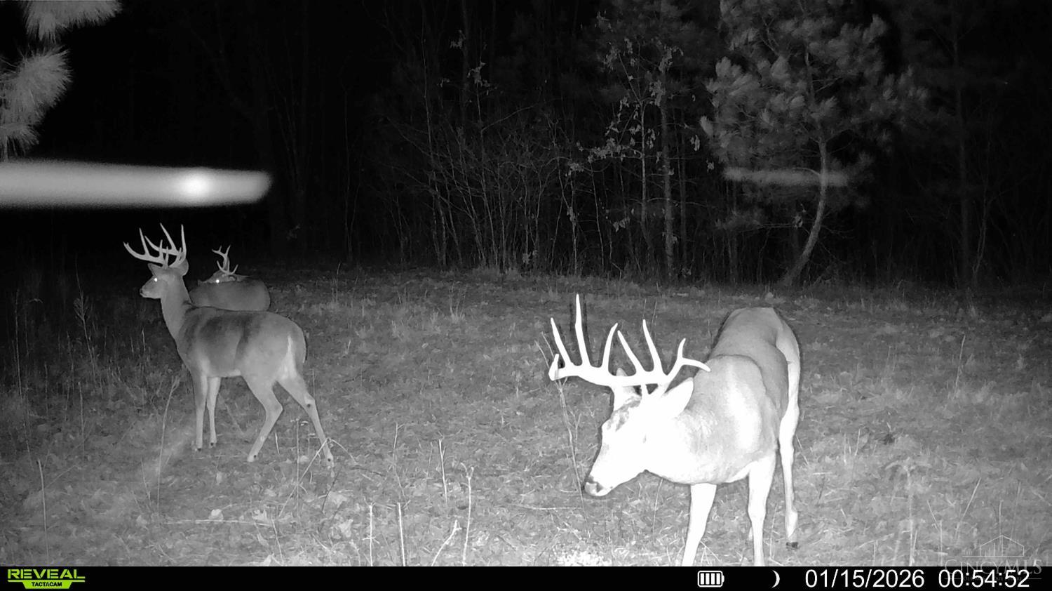 St Rt 348, Brushcreek Twp, OH, 45657 — photo 29