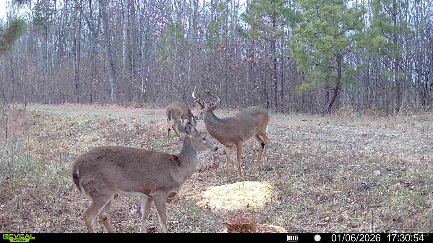 St Rt 348, Brushcreek Twp, OH, 45657 — photo 22