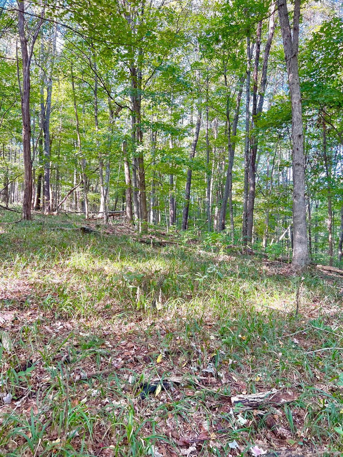 S Side Chenoweth Fork Road, Sunfish Twp, OH, 45660 — photo 29