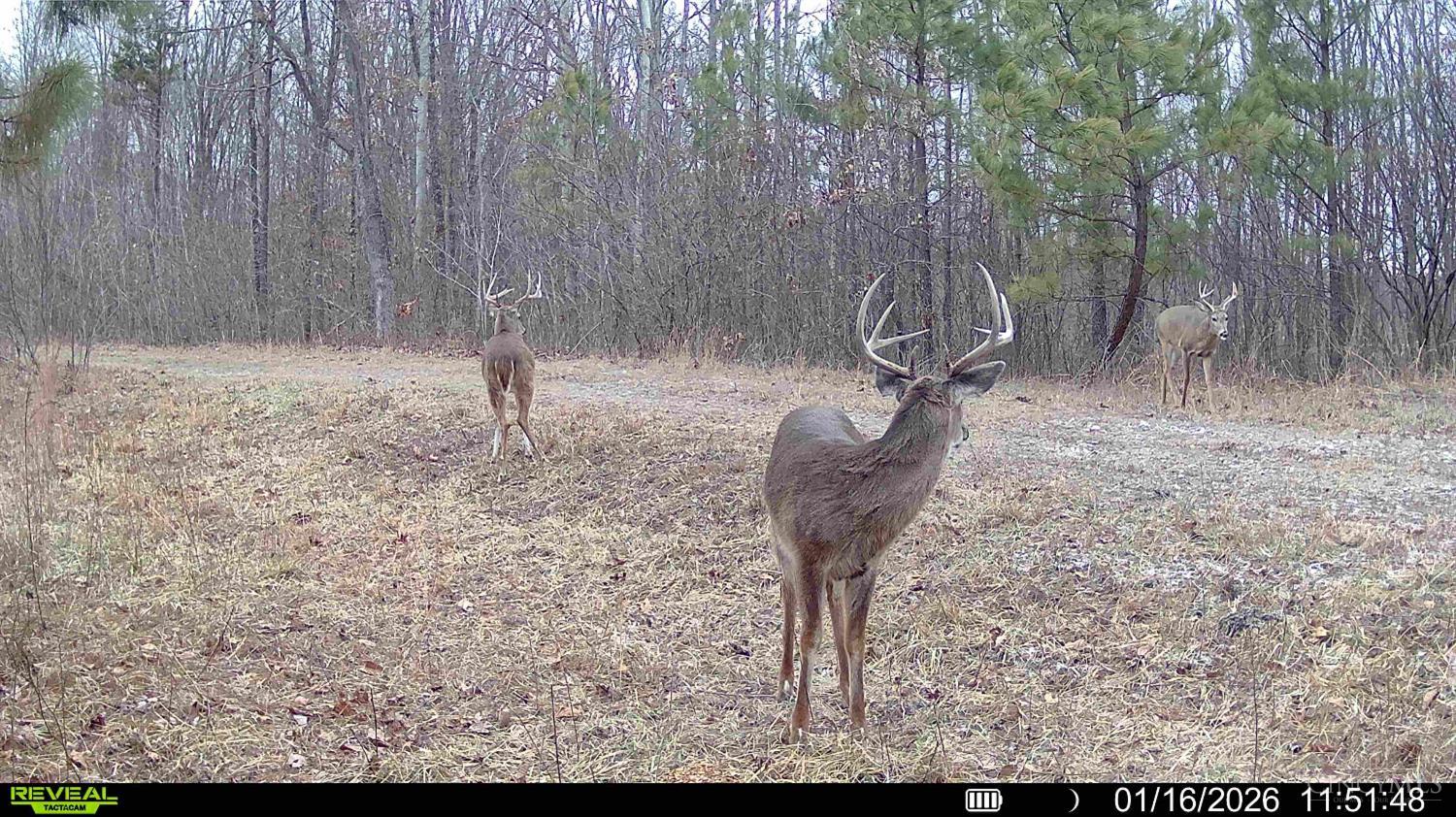 St Rt 348, Brushcreek Twp, OH, 45657 — photo 16