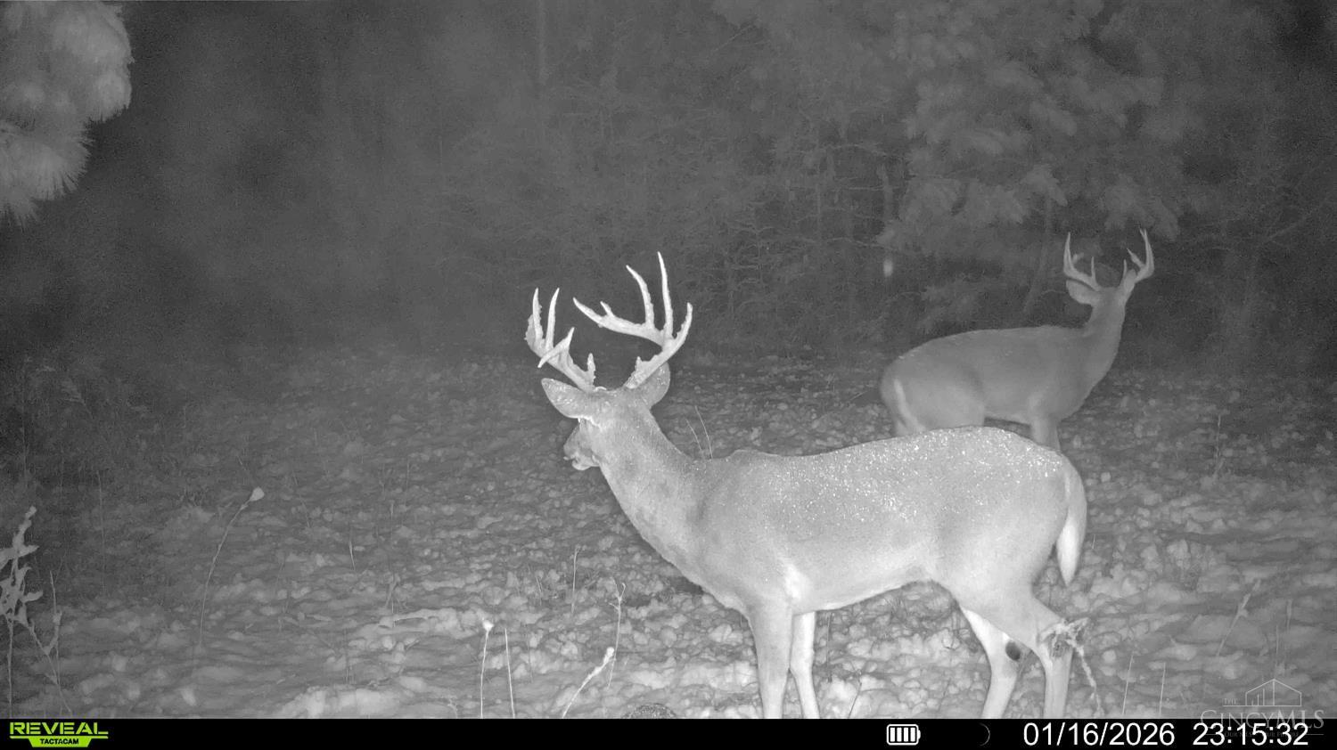 St Rt 348, Brushcreek Twp, OH, 45657 — photo 9