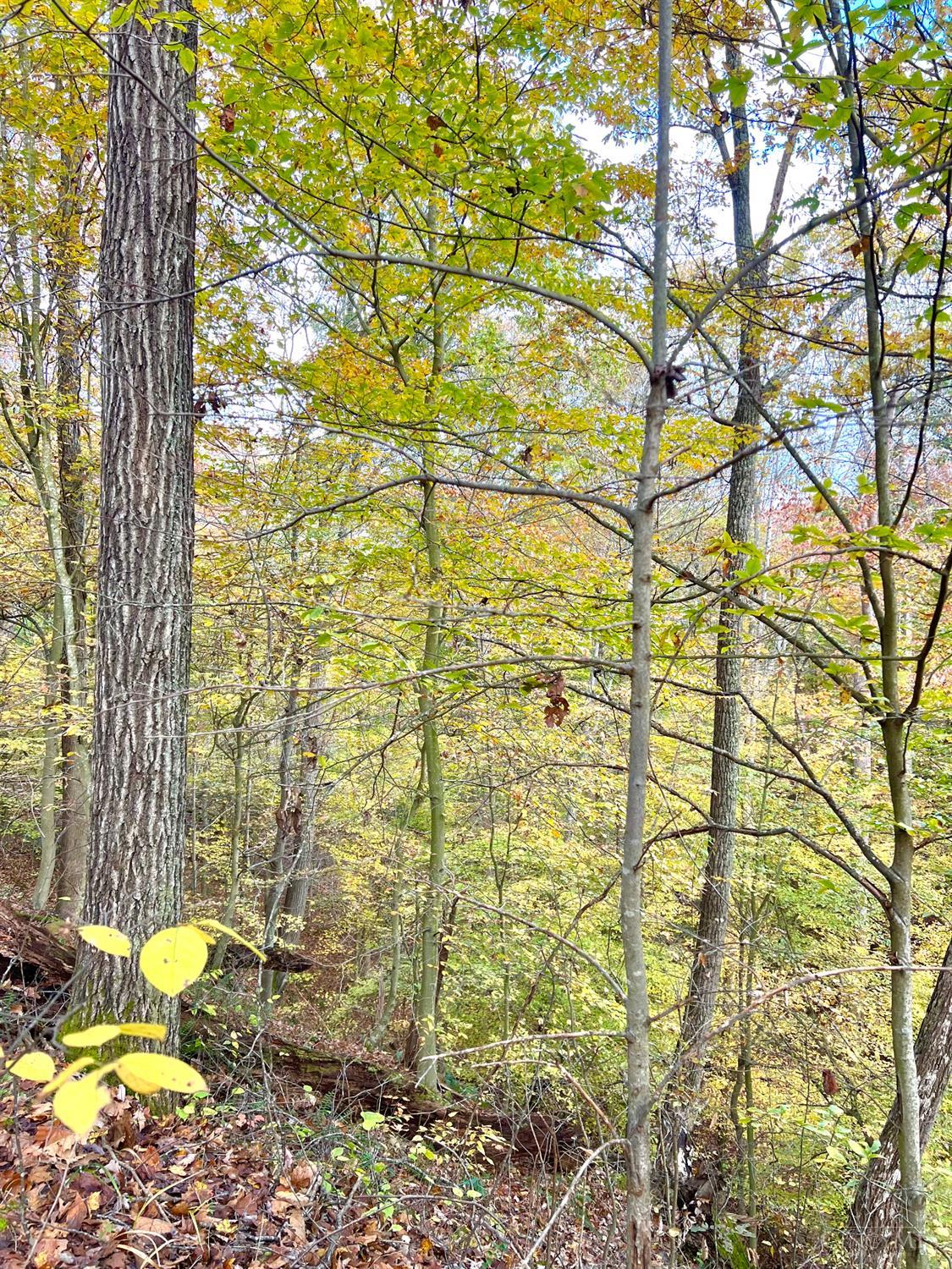 S Side Chenoweth Fork Road, Sunfish Twp, OH, 45660 — photo 36