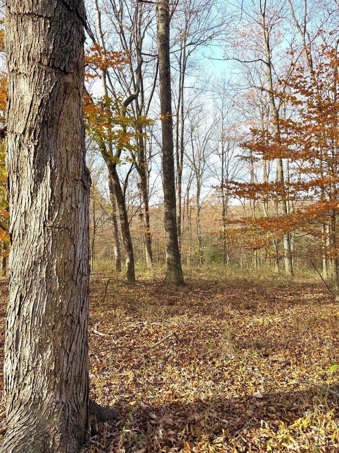 S Side Chenoweth Fork Road, Sunfish Twp, OH, 45660 — photo 2
