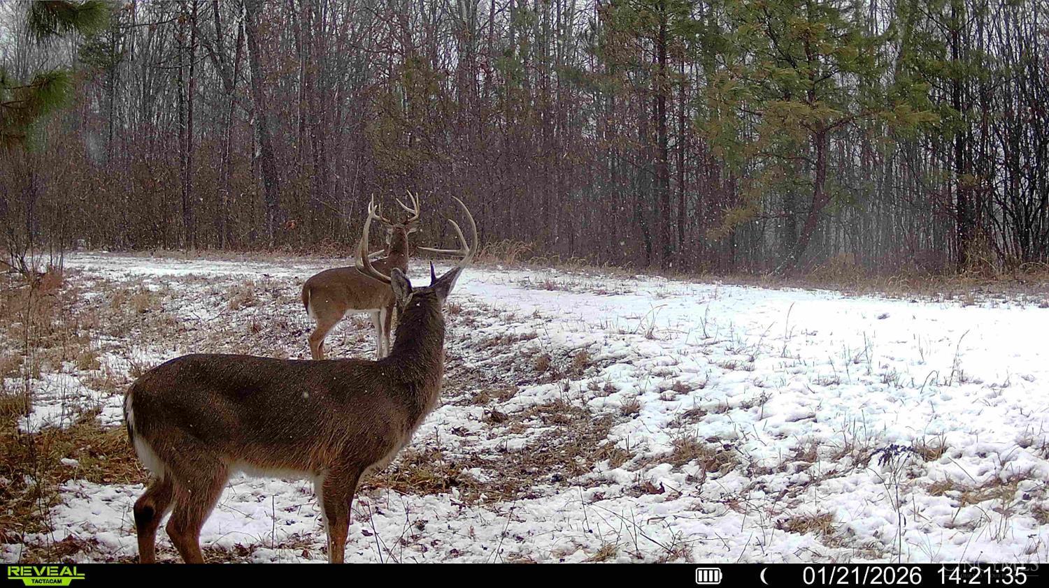 St Rt 348, Brushcreek Twp, OH, 45657 — photo 17