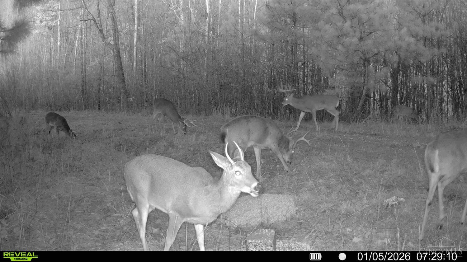St Rt 348, Brushcreek Twp, OH, 45657 — photo 20