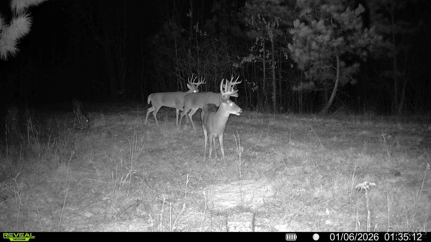 St Rt 348, Brushcreek Twp, OH, 45657 — photo 11