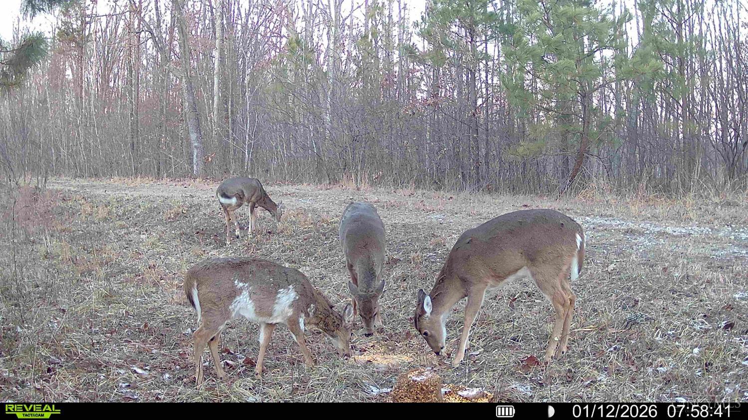 St Rt 348, Brushcreek Twp, OH, 45657 — photo 13