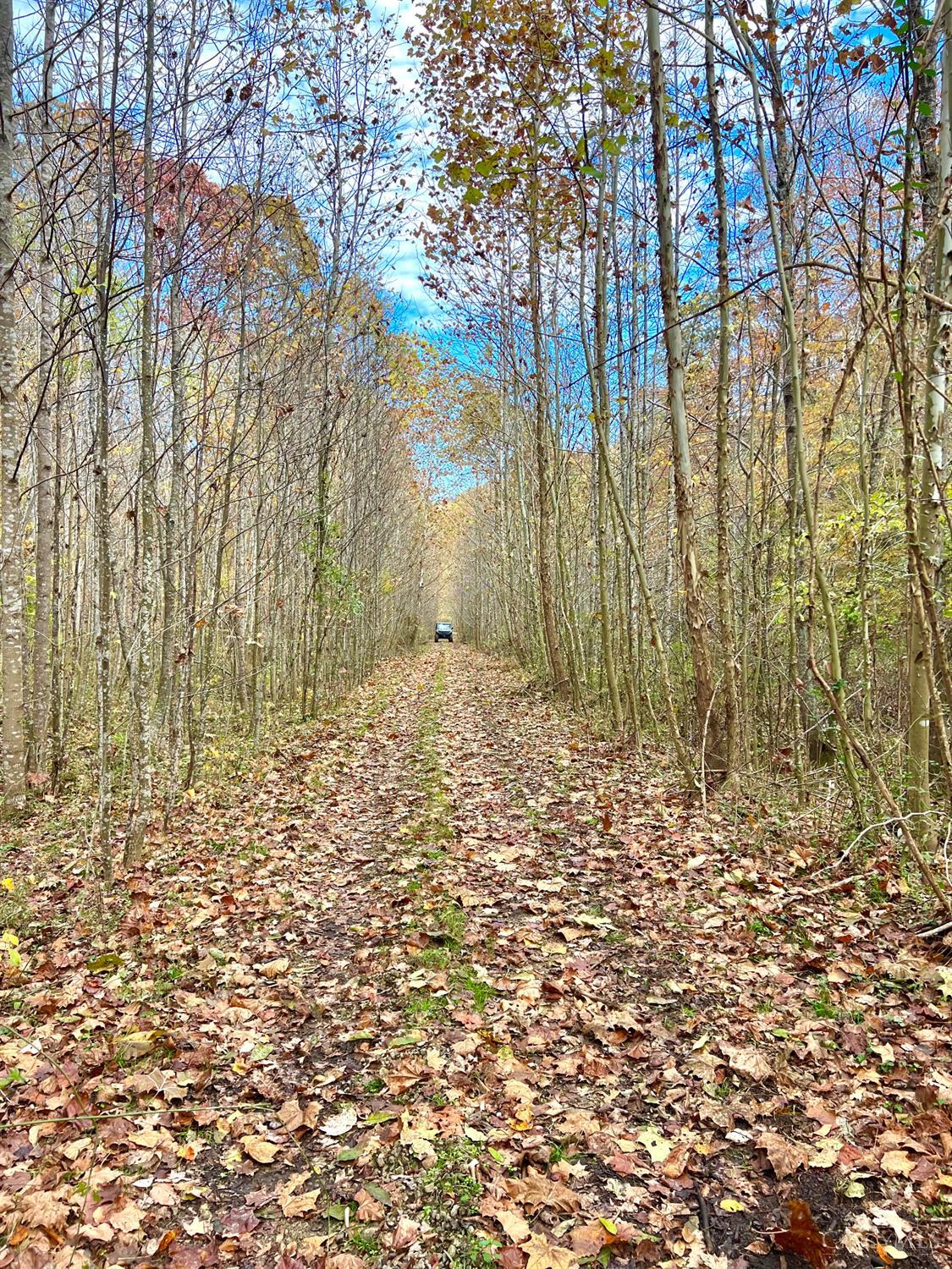 S Side Chenoweth Fork Road, Sunfish Twp, OH, 45660 — photo 40
