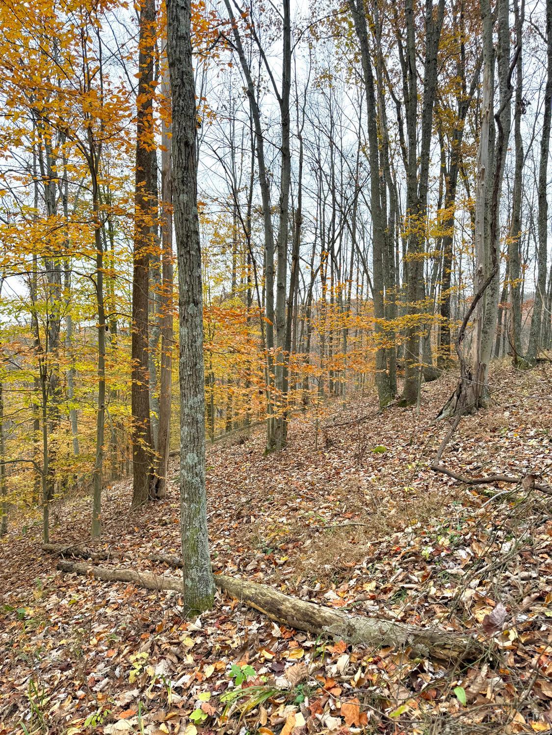 S Side Chenoweth Fork Road, Sunfish Twp, OH, 45660 — photo 20