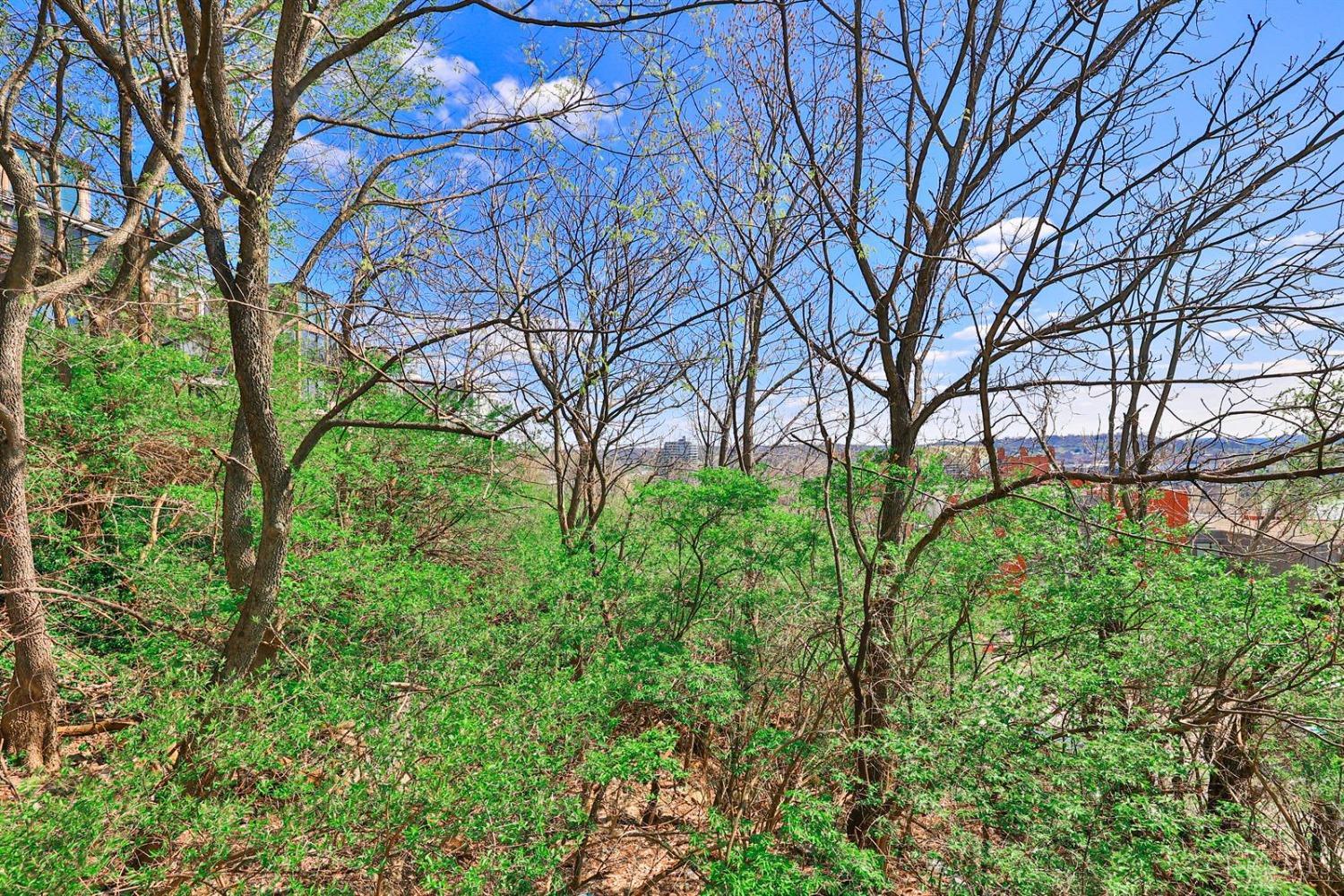 330 Oregon Street, Cincinnati, OH, 45202 — photo 9