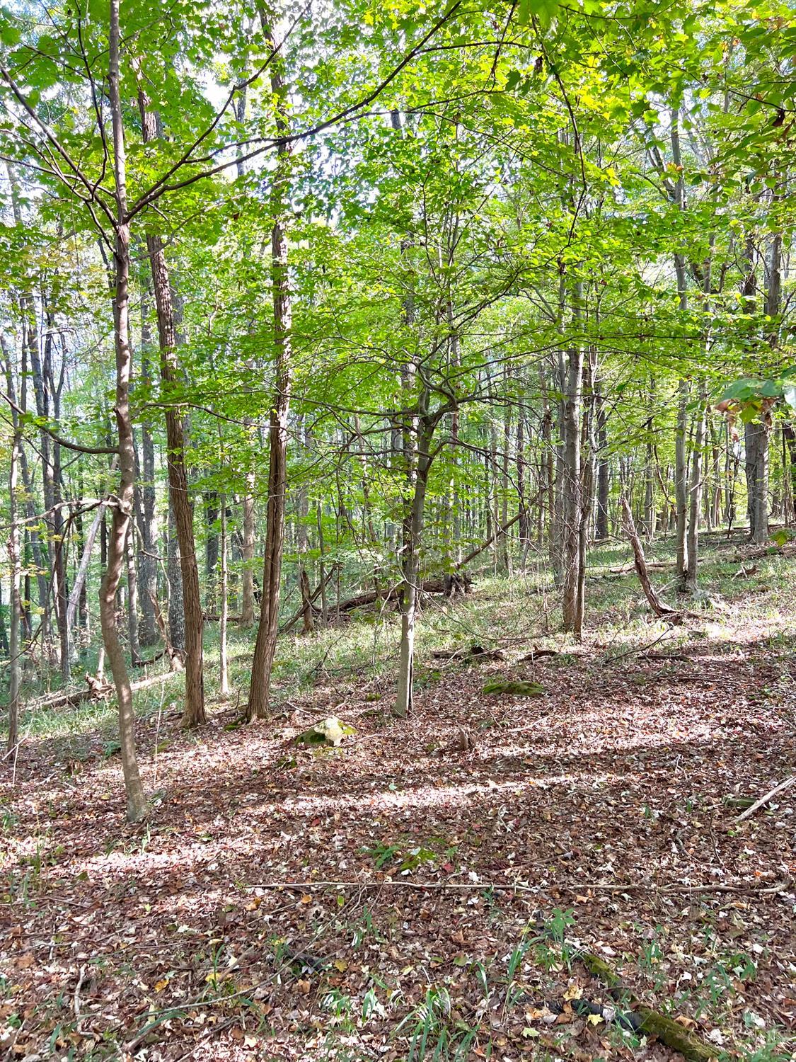 S Side Chenoweth Fork Road, Sunfish Twp, OH, 45660 — photo 33