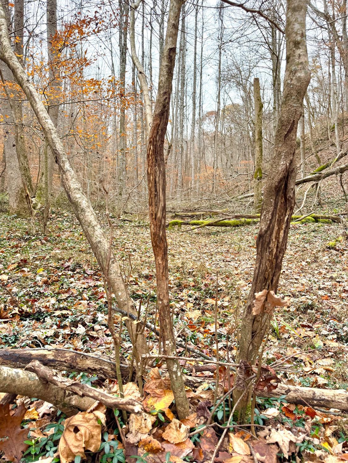 S Side Chenoweth Fork Road, Sunfish Twp, OH, 45660 — photo 27