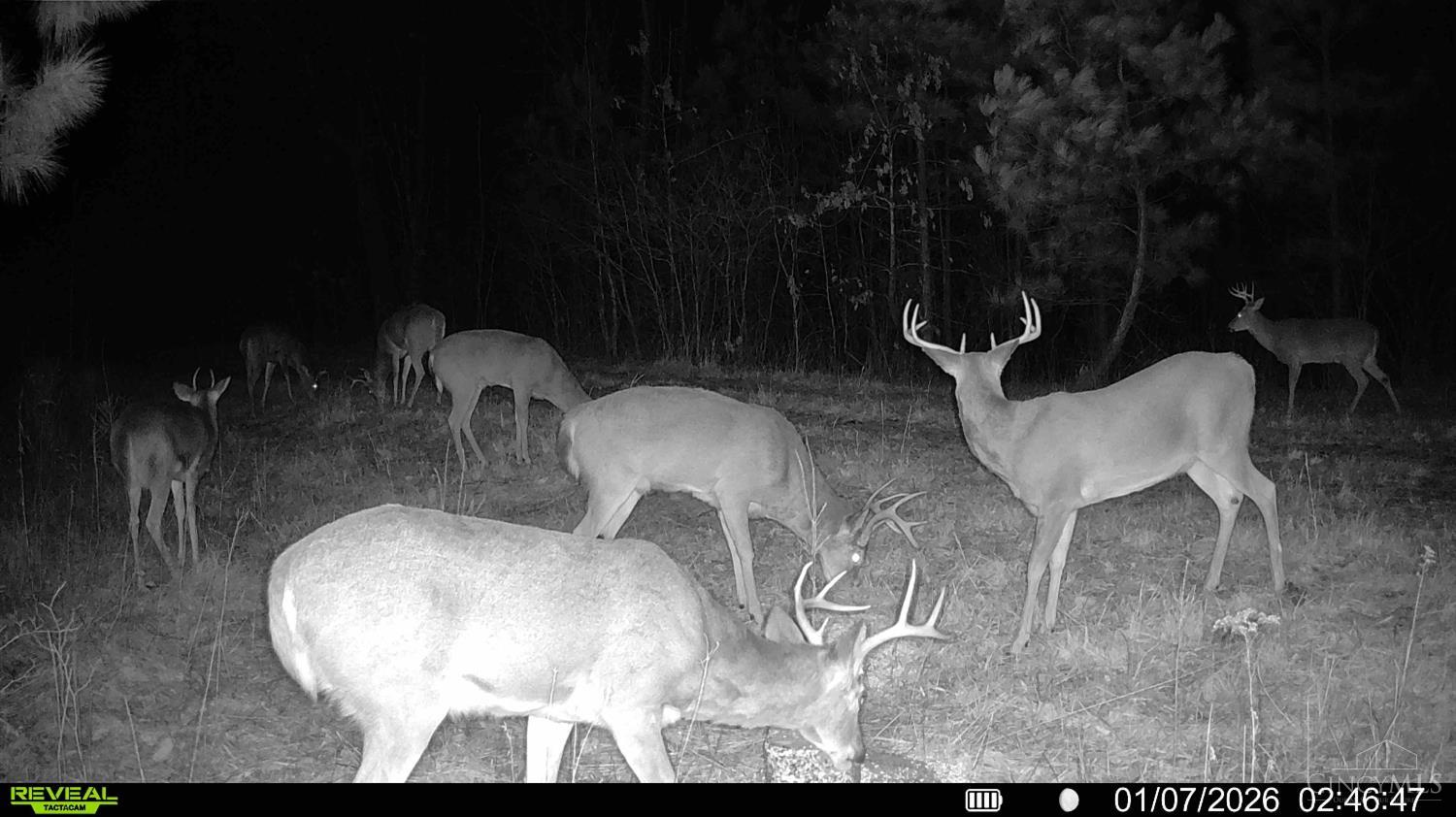 St Rt 348, Brushcreek Twp, OH, 45657 — photo 23