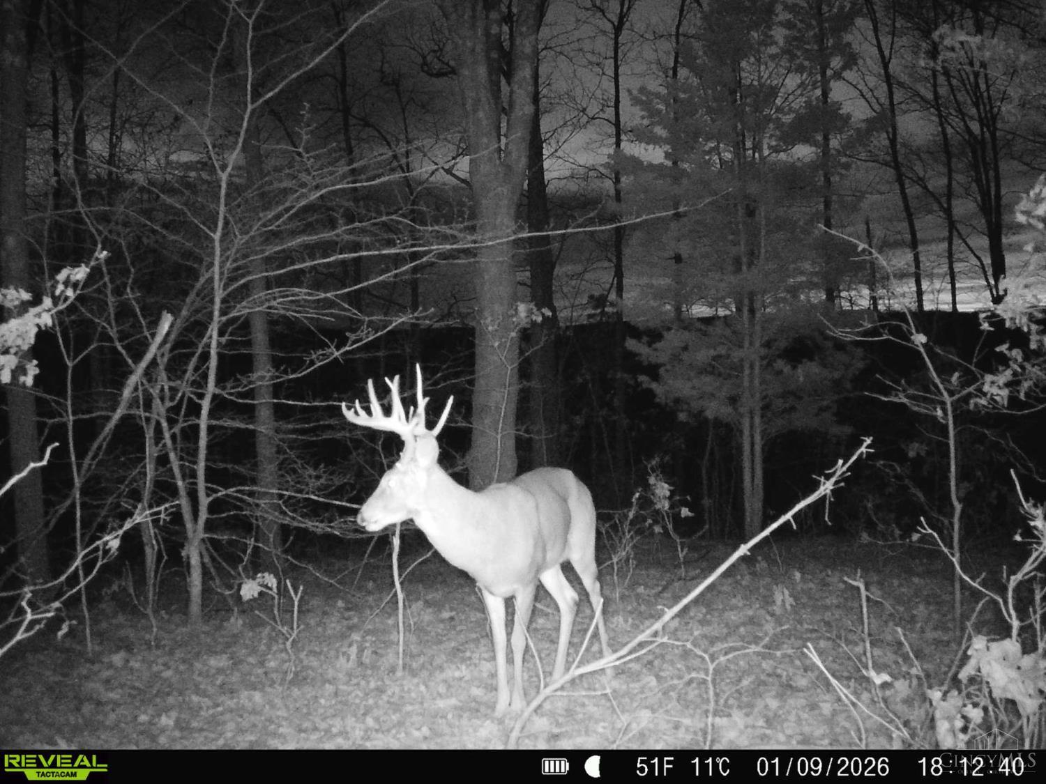 St Rt 348, Brushcreek Twp, OH, 45657 — photo 25
