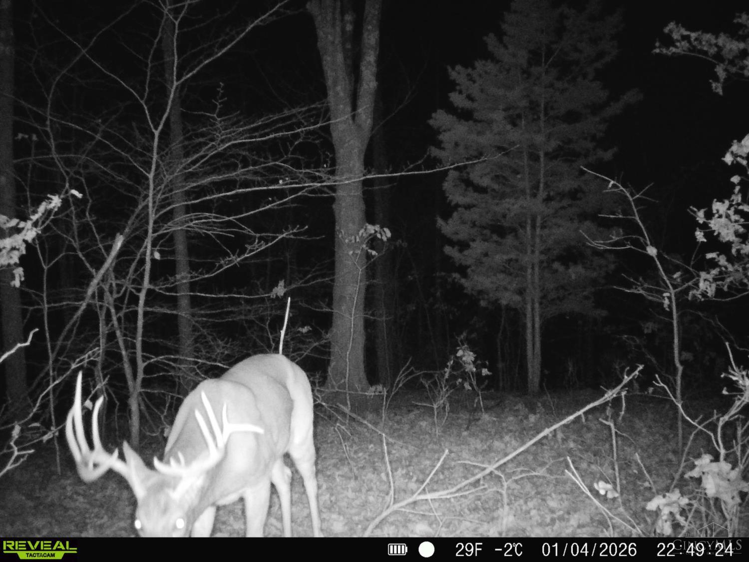 St Rt 348, Brushcreek Twp, OH, 45657 — photo 19