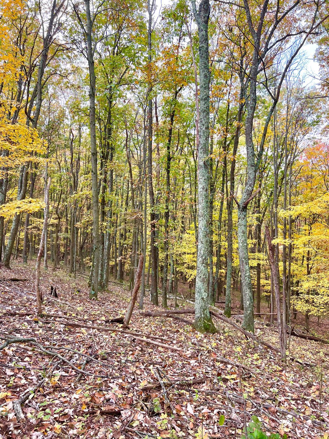 S Side Chenoweth Fork Road, Sunfish Twp, OH, 45660 — photo 39