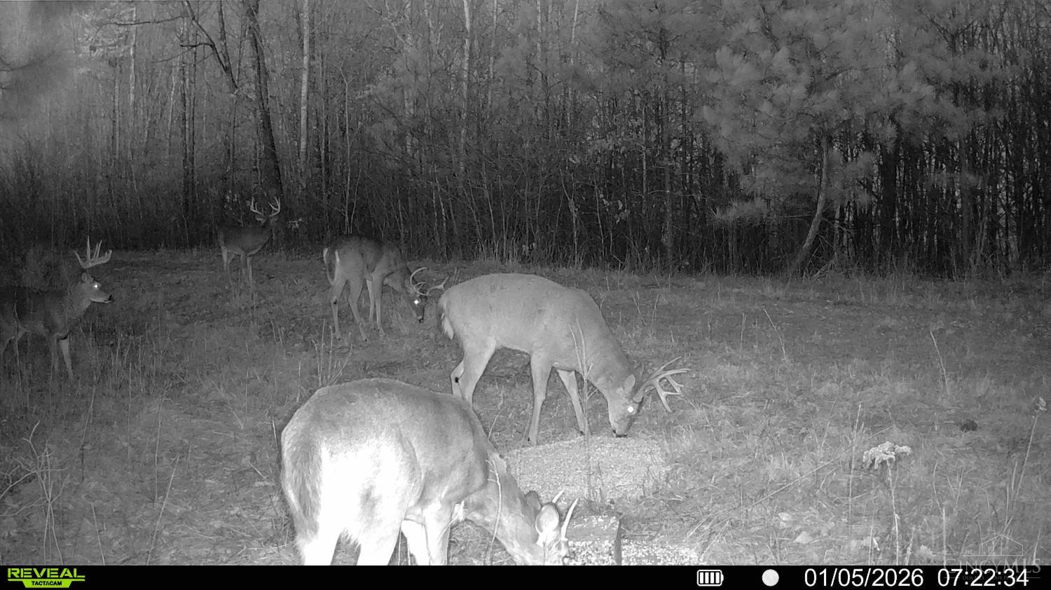 St Rt 348, Brushcreek Twp, OH, 45657 — photo 21