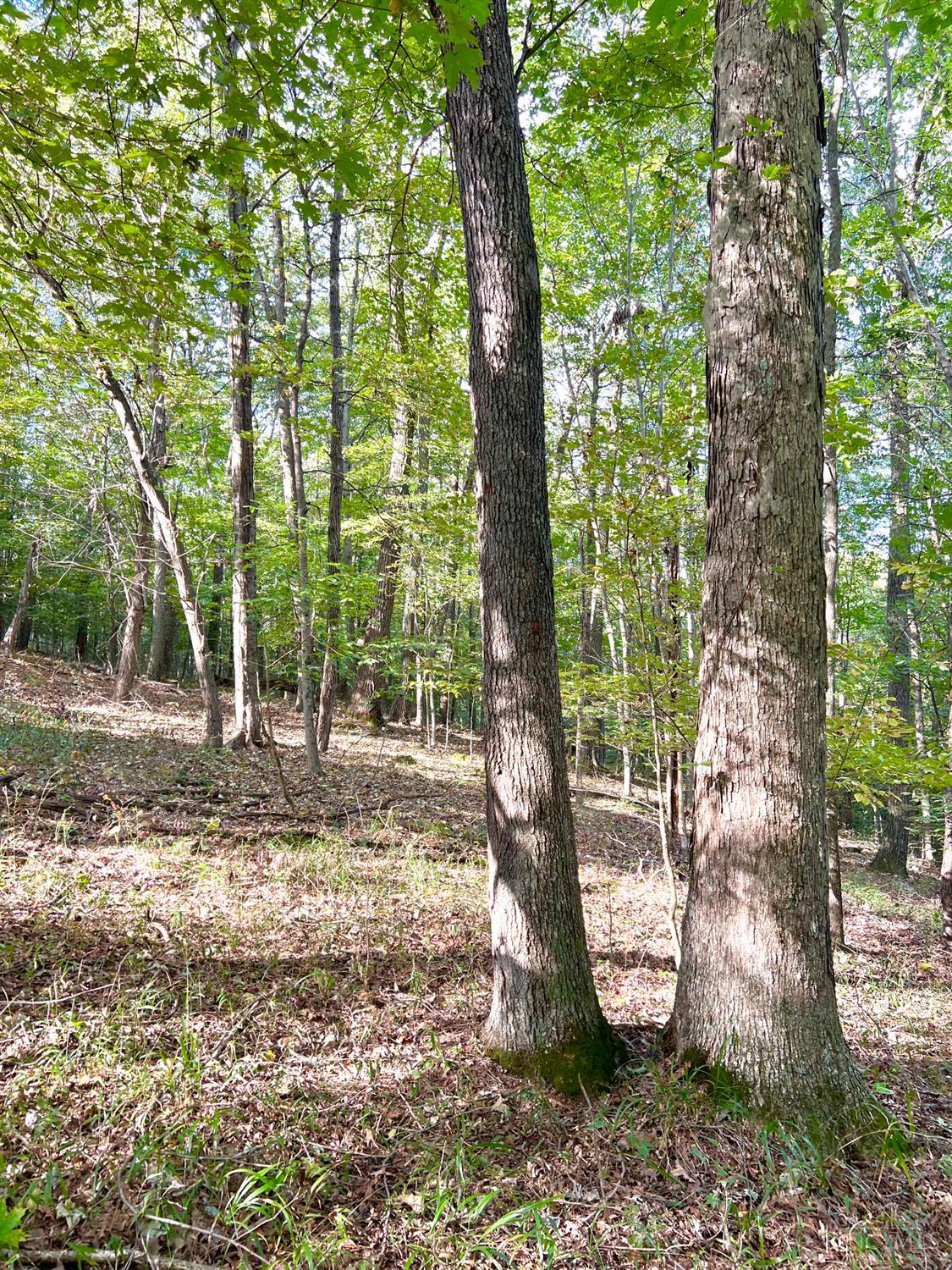 S Side Chenoweth Fork Road, Sunfish Twp, OH, 45660 — photo 34