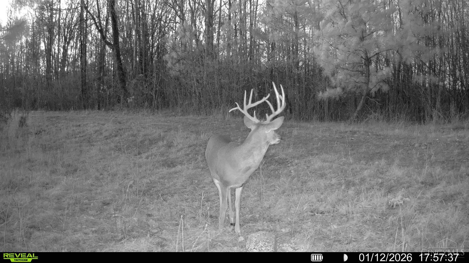 St Rt 348, Brushcreek Twp, OH, 45657 — photo 28