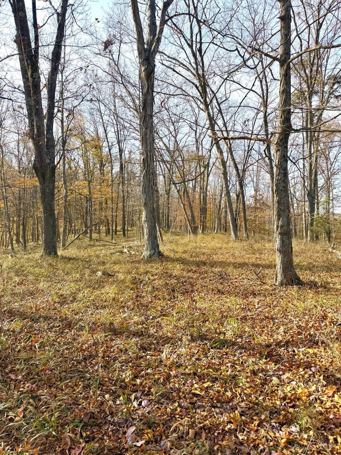 S Side Chenoweth Fork Road, Sunfish Twp, OH, 45660 — photo 3