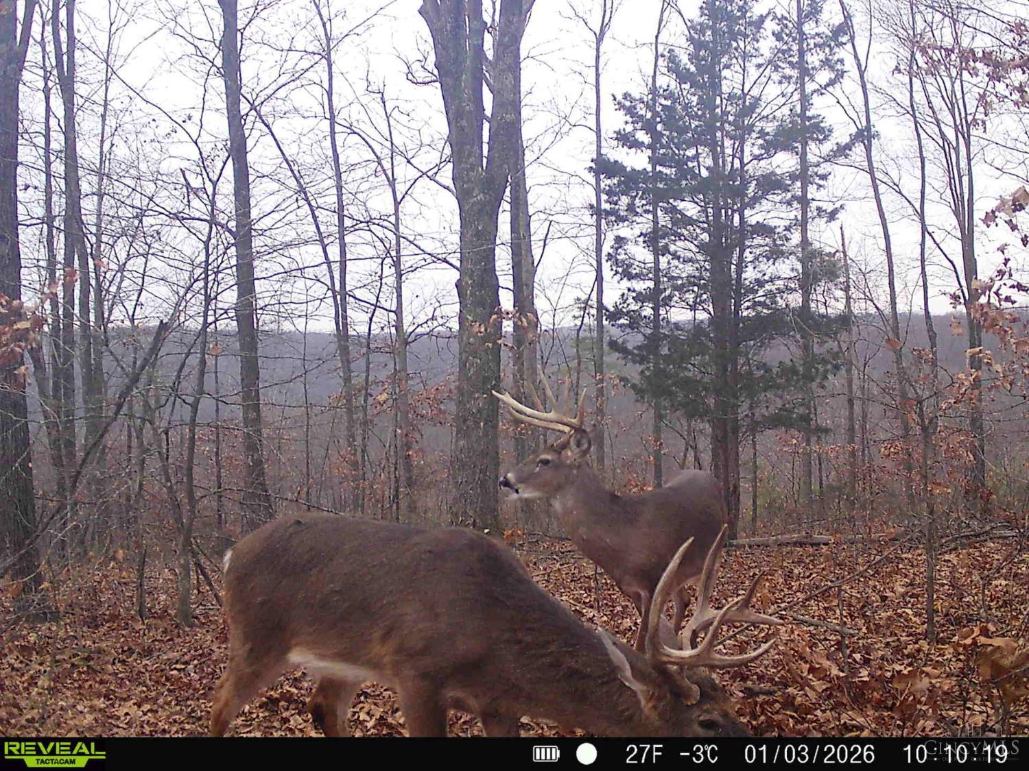 St Rt 348, Brushcreek Twp, OH, 45657 — photo 10