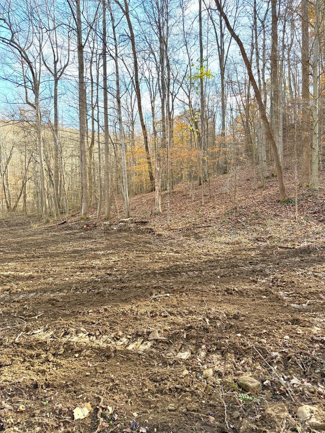 S Side Chenoweth Fork Road, Sunfish Twp, OH, 45660 — photo 9