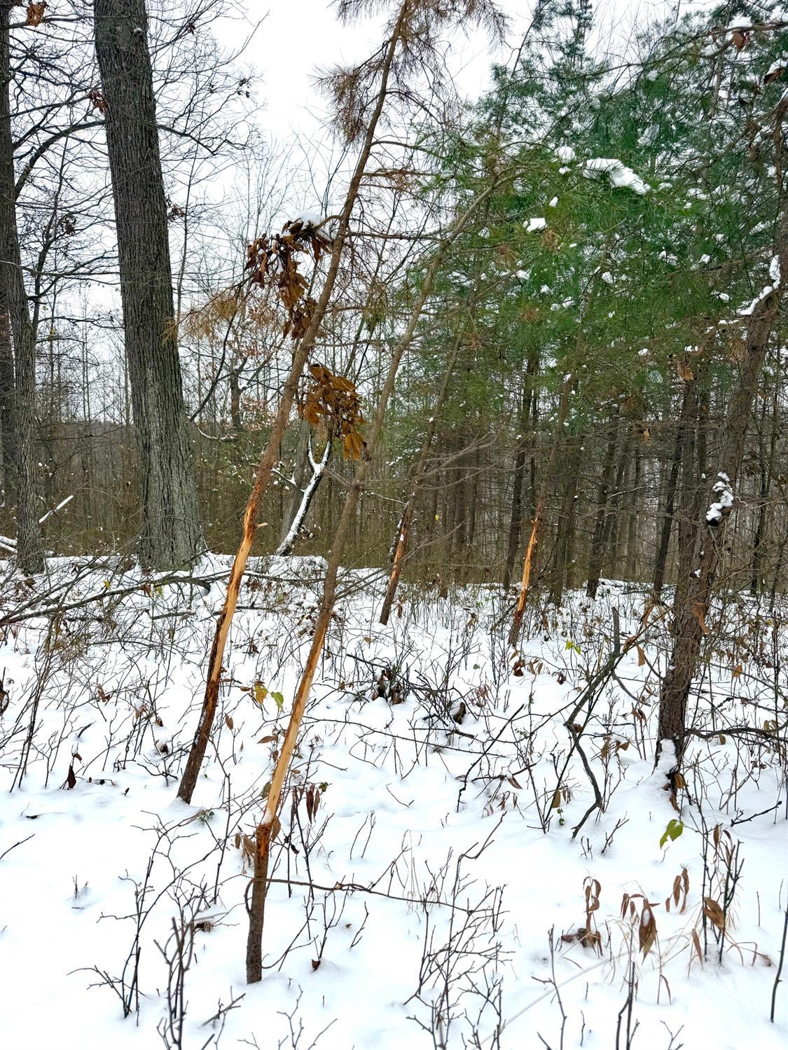 S Side Chenoweth Fork Road, Sunfish Twp, OH, 45660 — photo 28