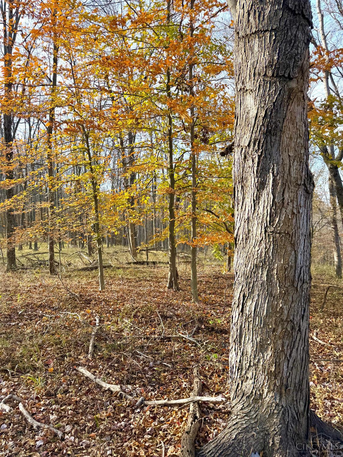 S Side Chenoweth Fork Road, Sunfish Twp, OH, 45660 — photo 44