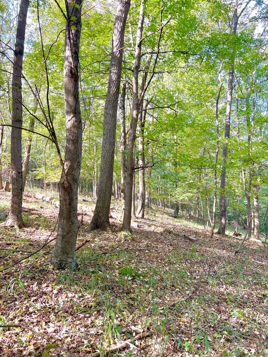 S Side Chenoweth Fork Road, Sunfish Twp, OH, 45660 — photo 31