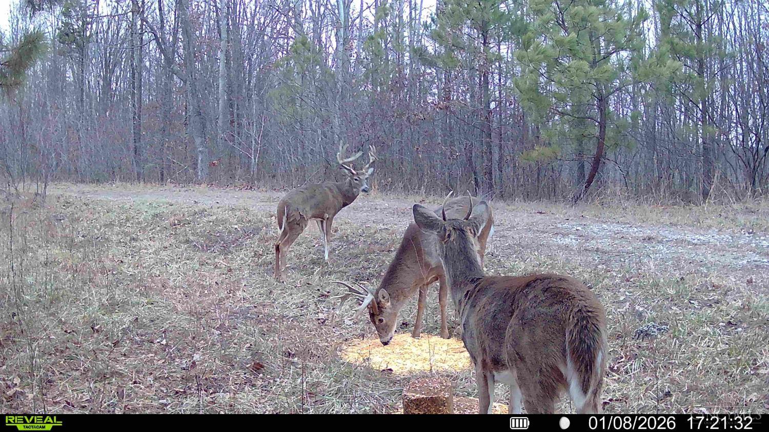 St Rt 348, Brushcreek Twp, OH, 45657 — photo 24