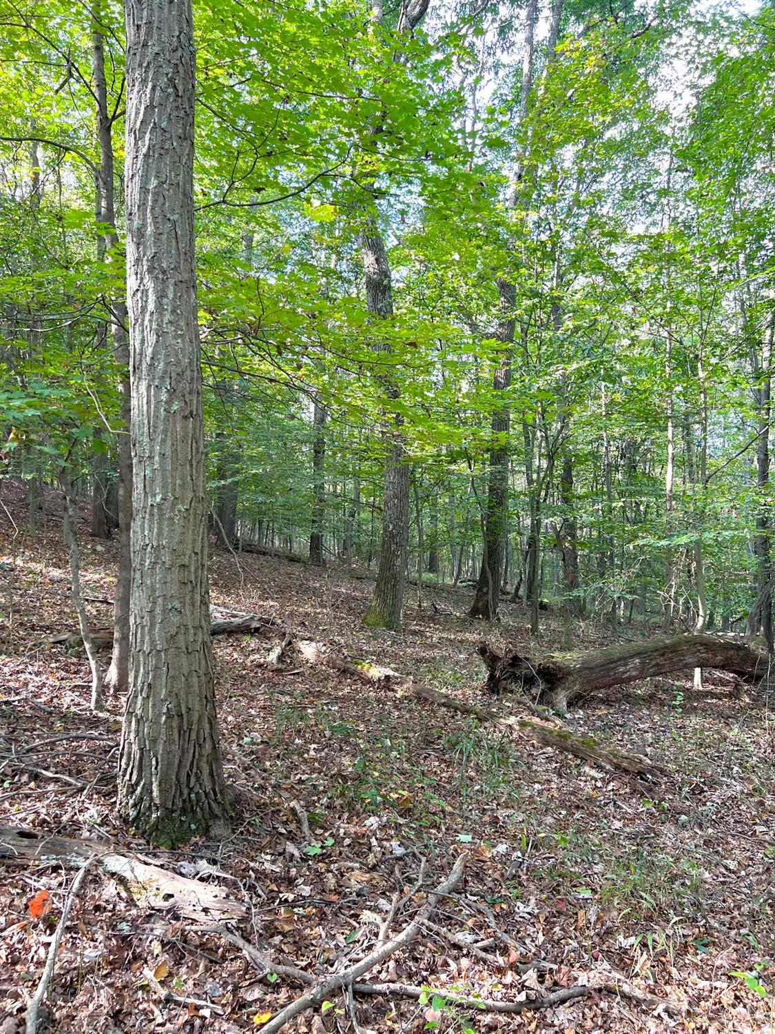 S Side Chenoweth Fork Road, Sunfish Twp, OH, 45660 — photo 19