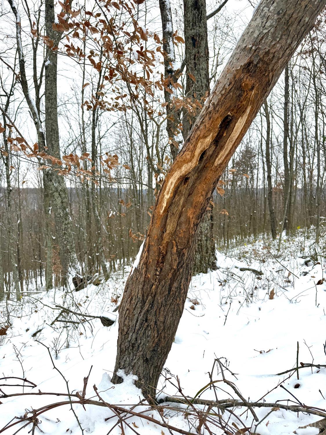 S Side Chenoweth Fork Road, Sunfish Twp, OH, 45660 — photo 16