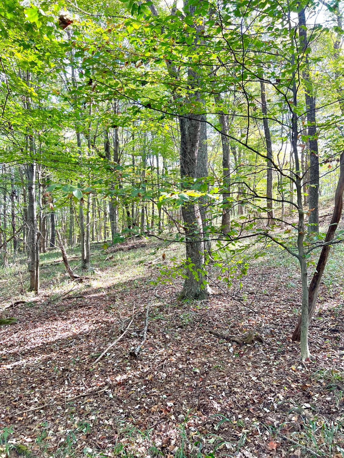 S Side Chenoweth Fork Road, Sunfish Twp, OH, 45660 — photo 32