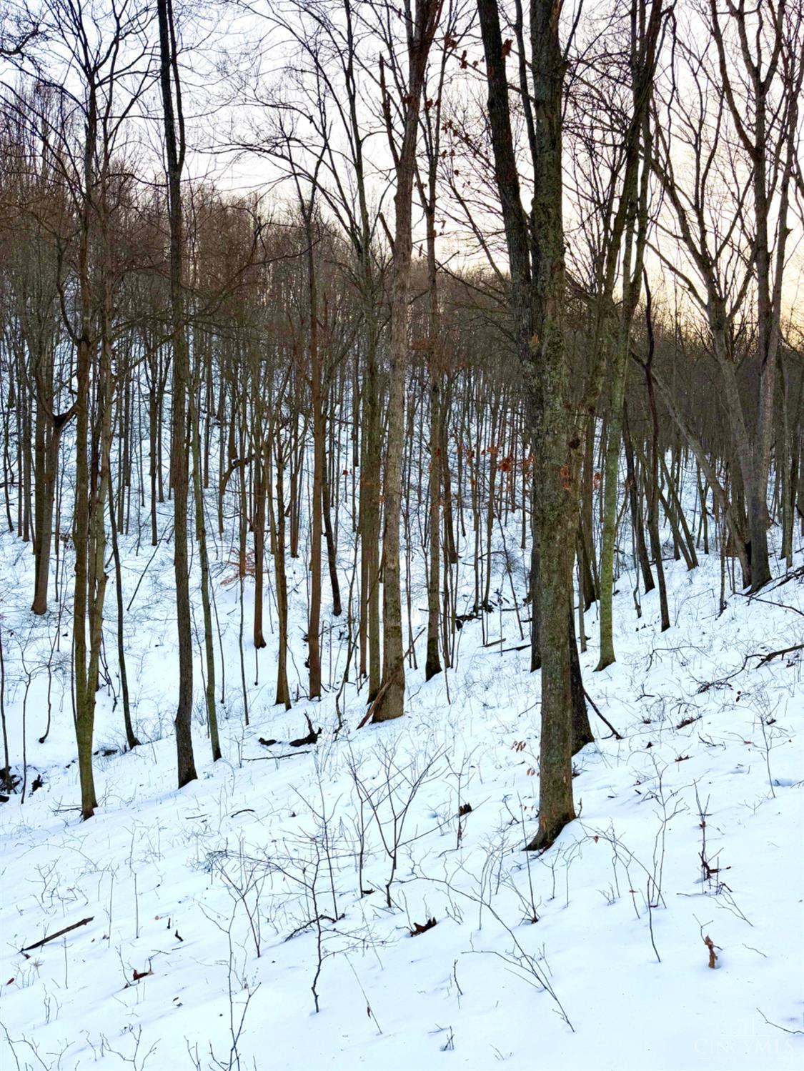 Carrs Run, Jackson Twp, OH, 45613 — photo 78