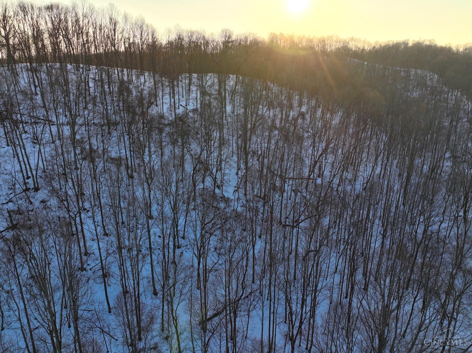 Carrs Run, Jackson Twp, OH, 45613 — photo 28