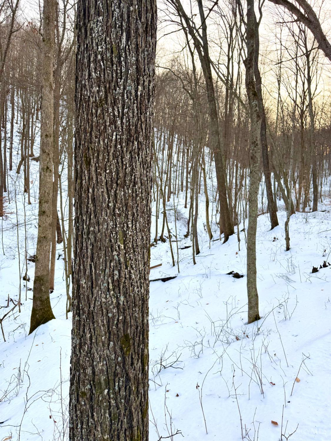 Carrs Run, Jackson Twp, OH, 45613 — photo 74