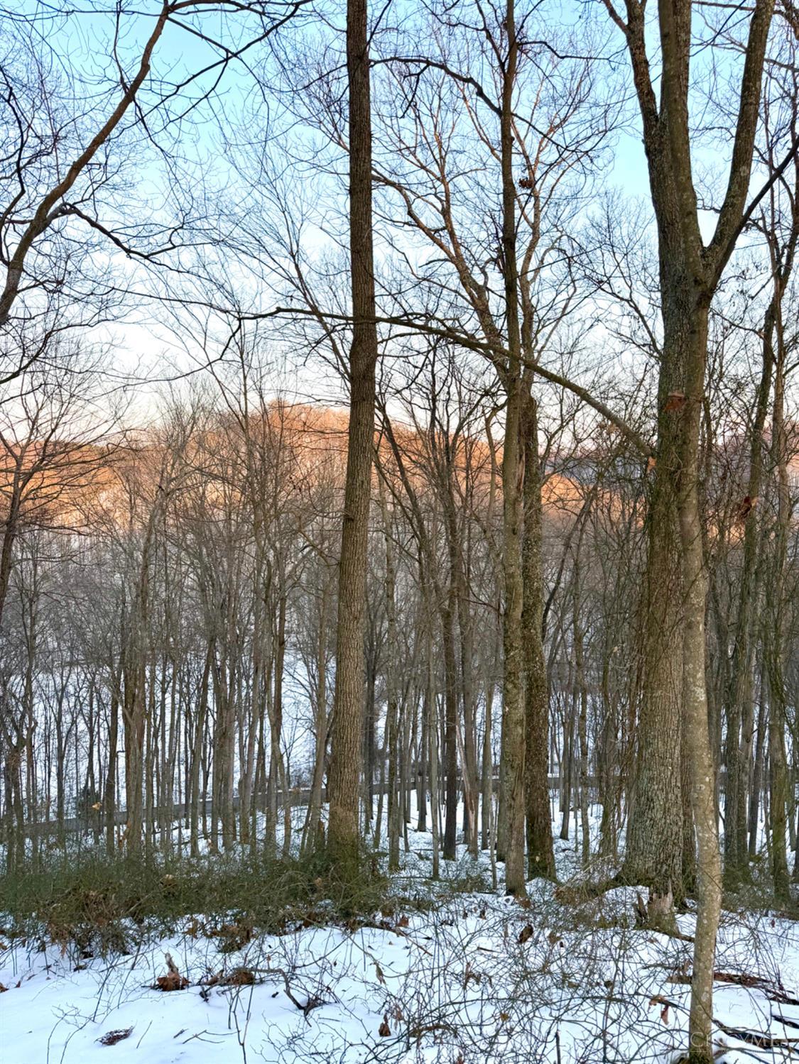 Carrs Run, Jackson Twp, OH, 45613 — photo 56