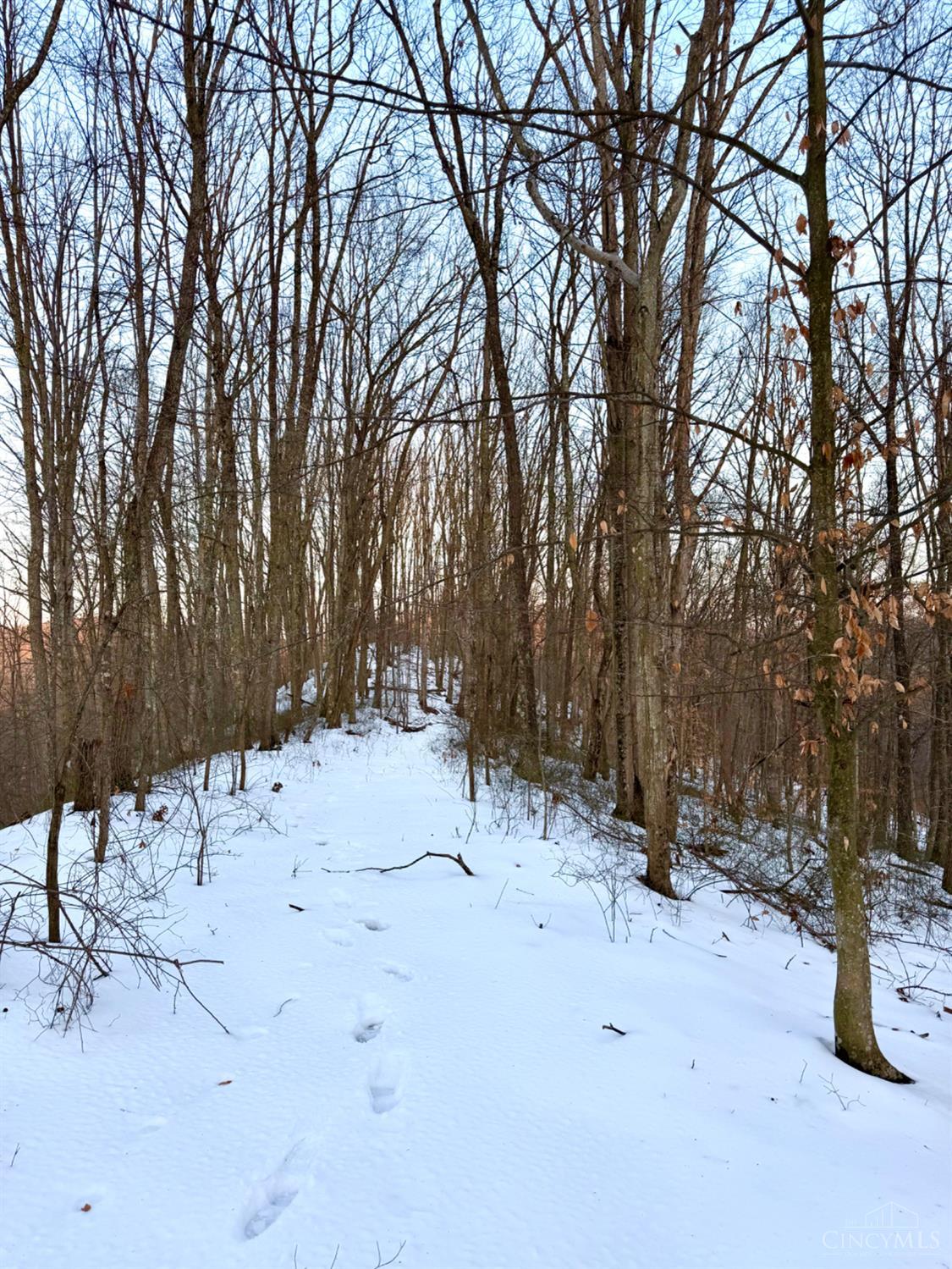 Carrs Run, Jackson Twp, OH, 45613 — photo 31