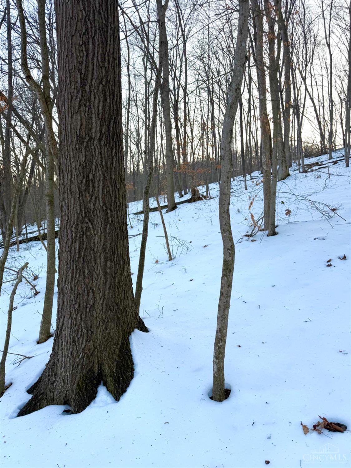 Carrs Run, Jackson Twp, OH, 45613 — photo 51