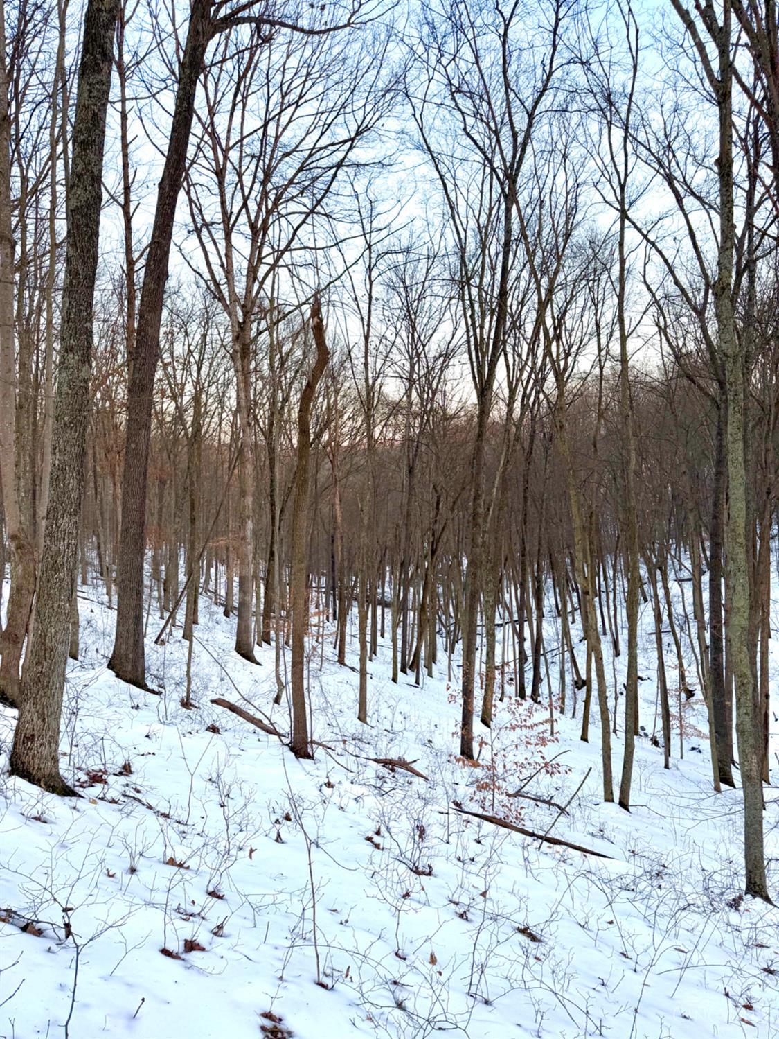 Carrs Run, Jackson Twp, OH, 45613 — photo 66