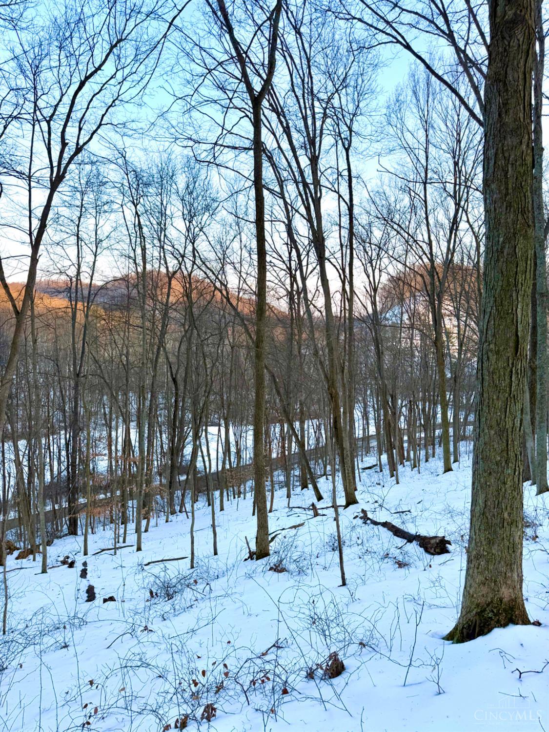 Carrs Run, Jackson Twp, OH, 45613 — photo 22