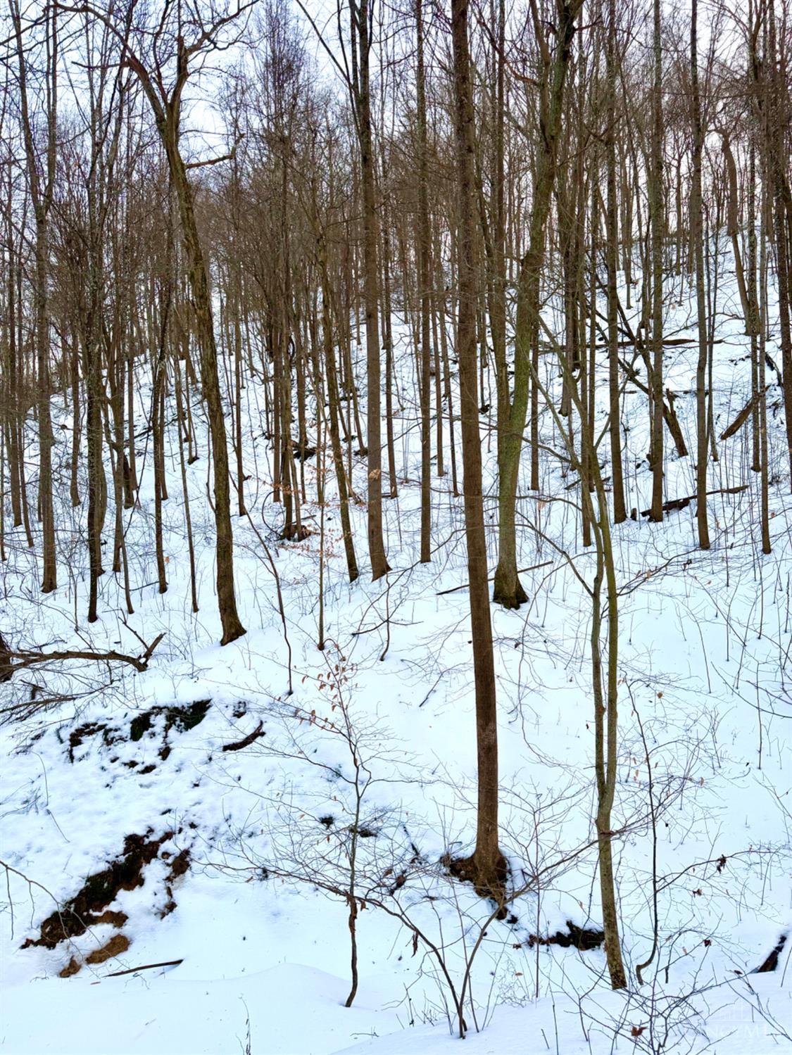 Carrs Run, Jackson Twp, OH, 45613 — photo 73