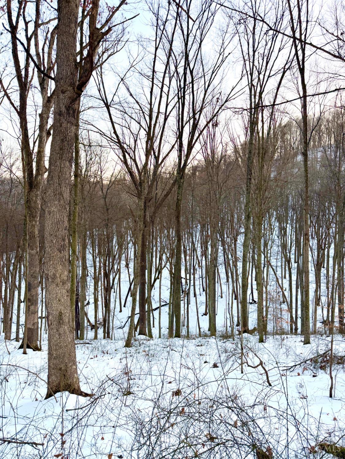 Carrs Run, Jackson Twp, OH, 45613 — photo 82