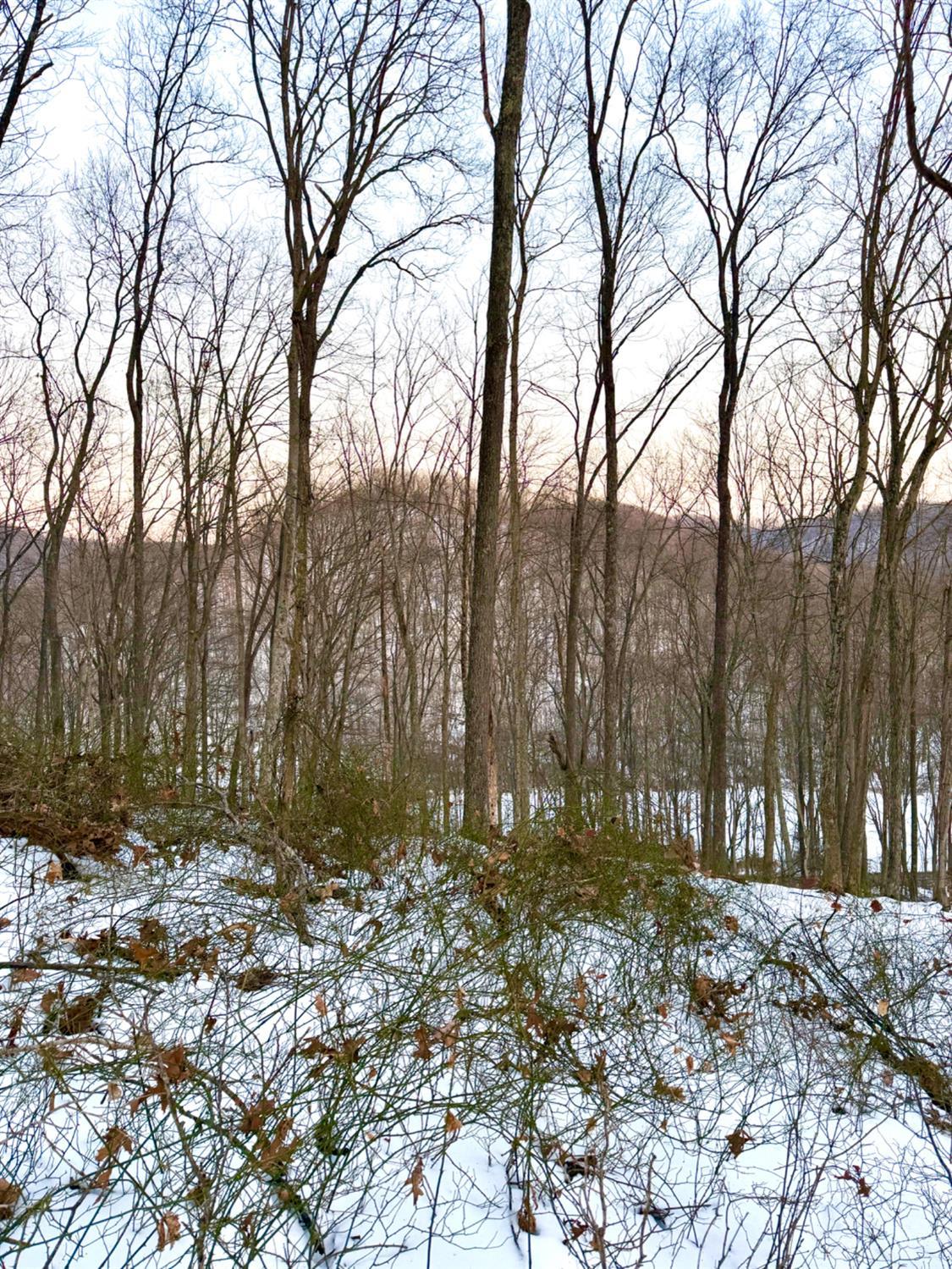 Carrs Run, Jackson Twp, OH, 45613 — photo 84