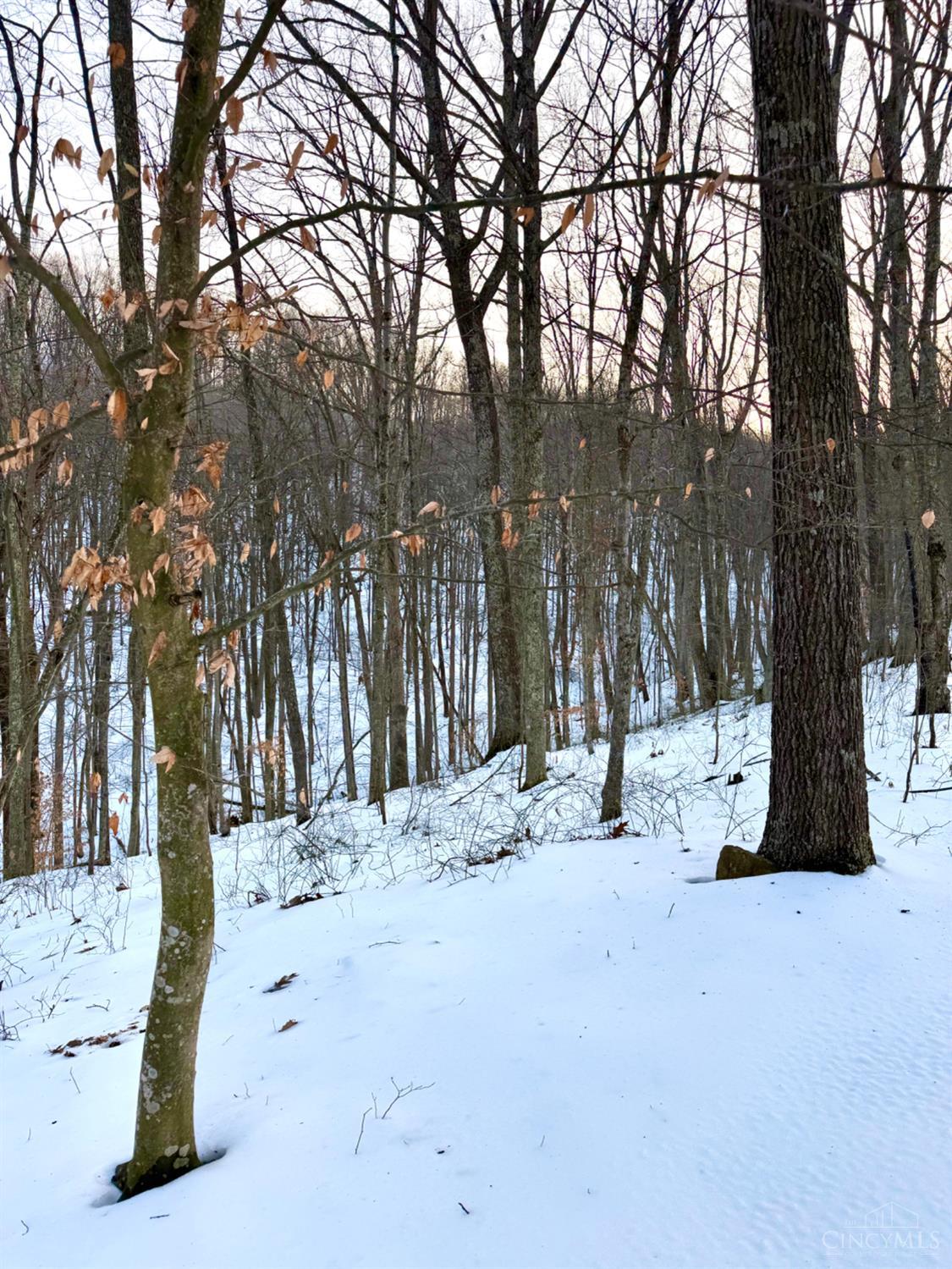 Carrs Run, Jackson Twp, OH, 45613 — photo 30