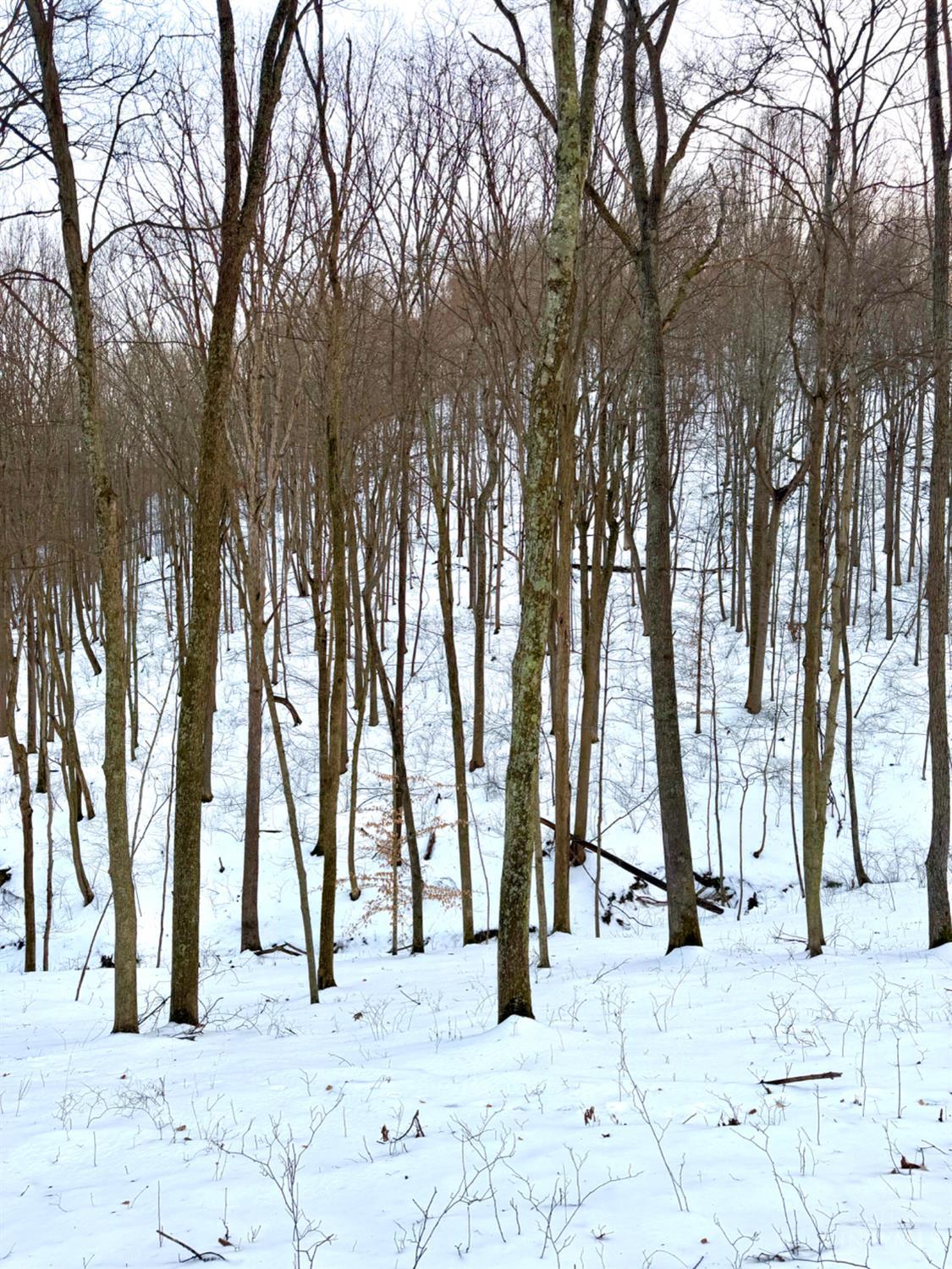 Carrs Run, Jackson Twp, OH, 45613 — photo 77