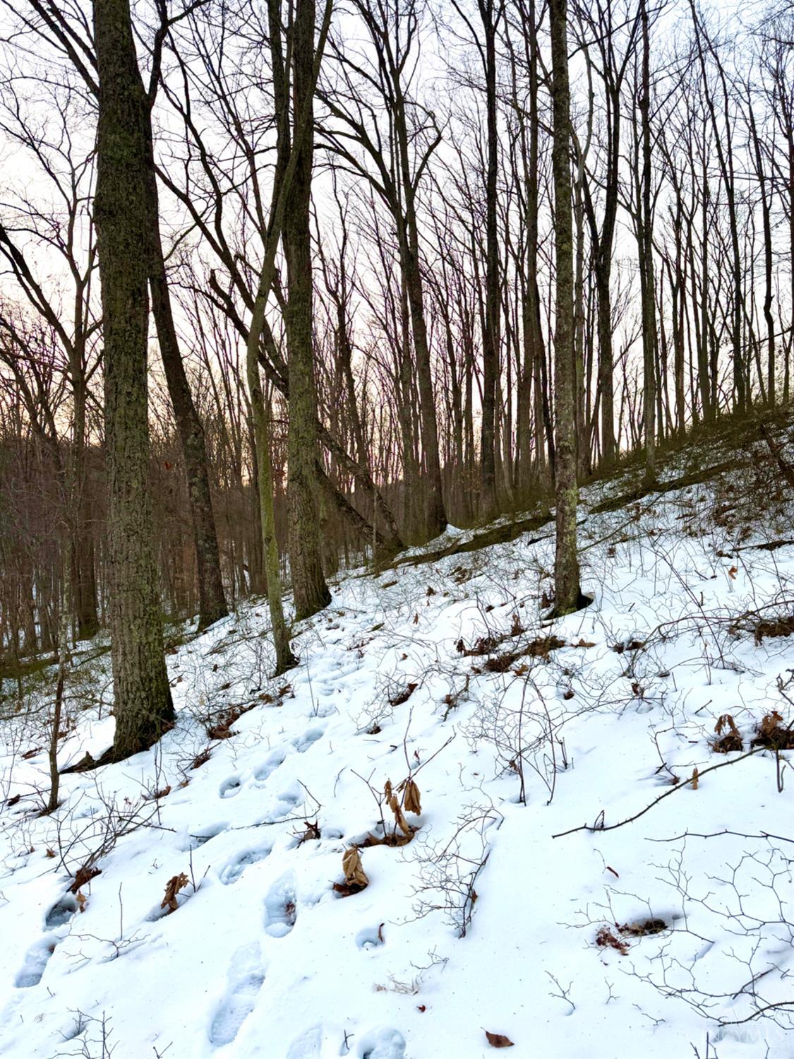 Carrs Run, Jackson Twp, OH, 45613 — photo 85